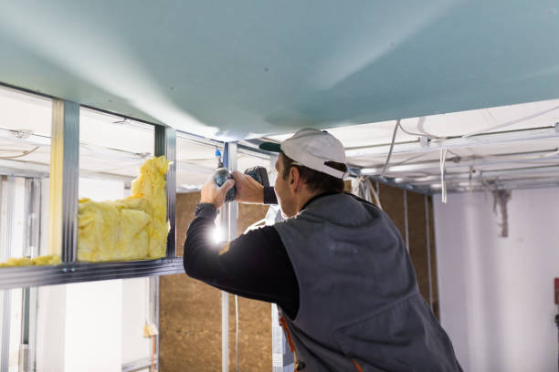 Best Residential Insulation in Lampasas, TX
