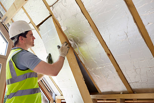 Best Eco-Friendly Insulation in Lampasas, TX